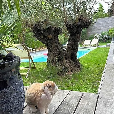 Les Penates Bordelaises 4*